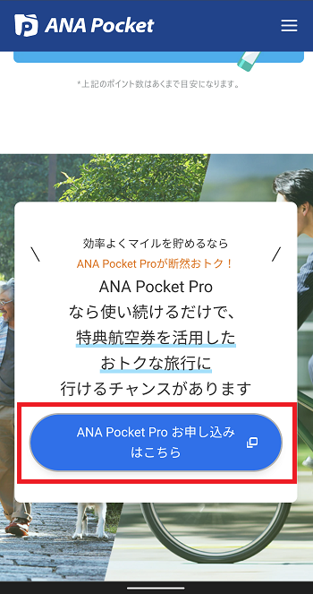 ANA Pocket 公式サイト
